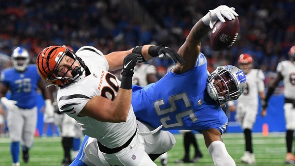DETROIT, MICHIGAN - OCTOBER 17: Derrick Barnes #55 of the Detroit Lions breaks up a pass intended for Drew Sample #89 of the Cincinnati Bengals during the third quarter at Ford Field on October 17, 2021 in Detroit, Michigan.