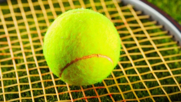 тенис, рекорди, голям шлем, атп, wta