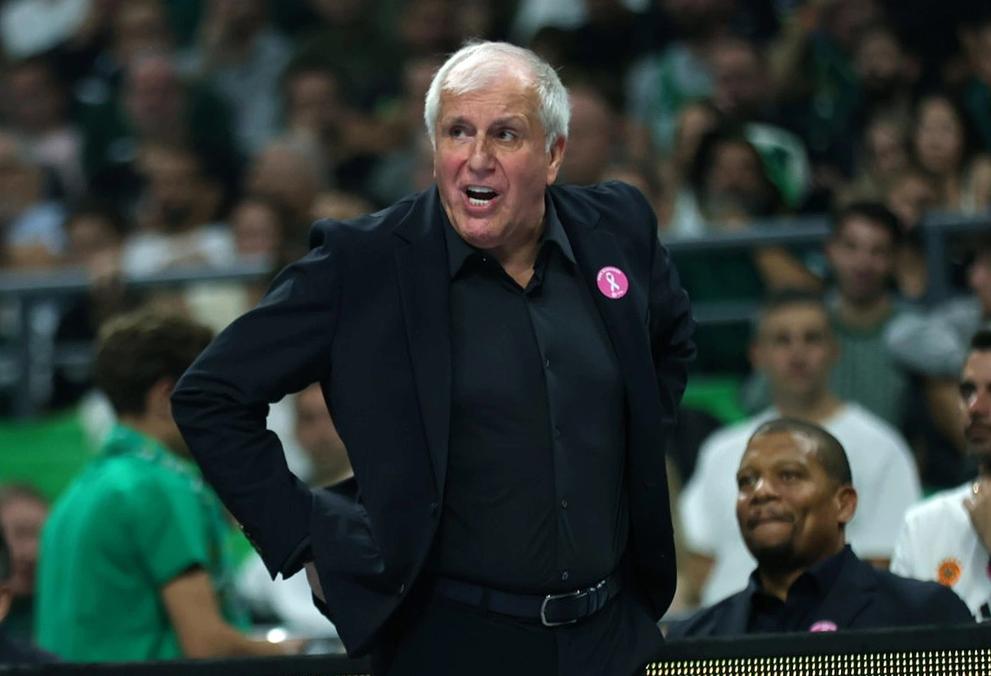 Obradovic Panathinaikos
