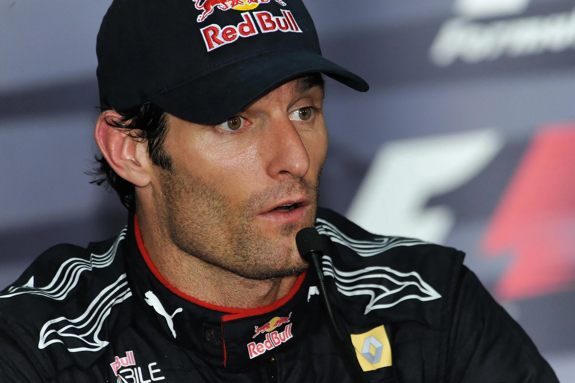 Webber: “A Verstappen serve la stagione perfetta”