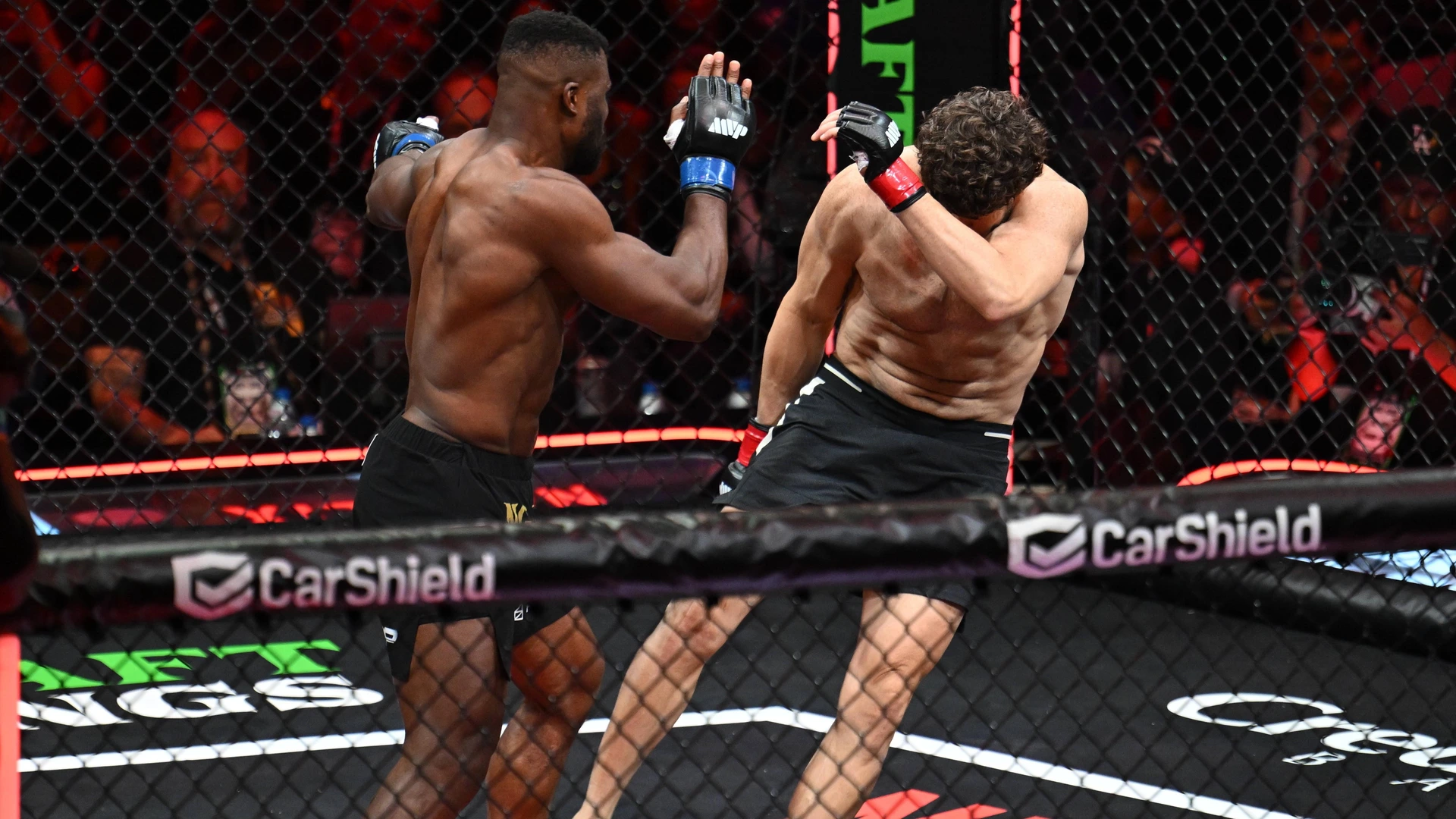 BOXE O MMA: Qual è il più amato?