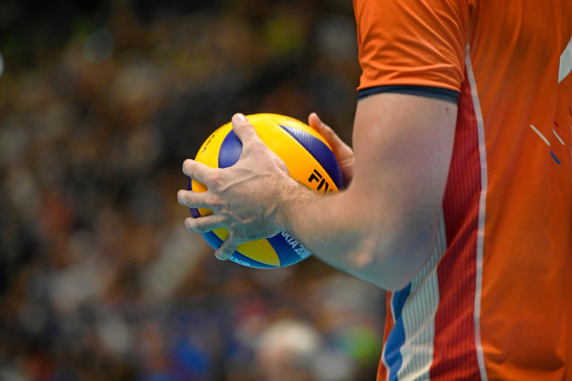 Play-off Challenge Cup, che sfida tra Milano e Verona!