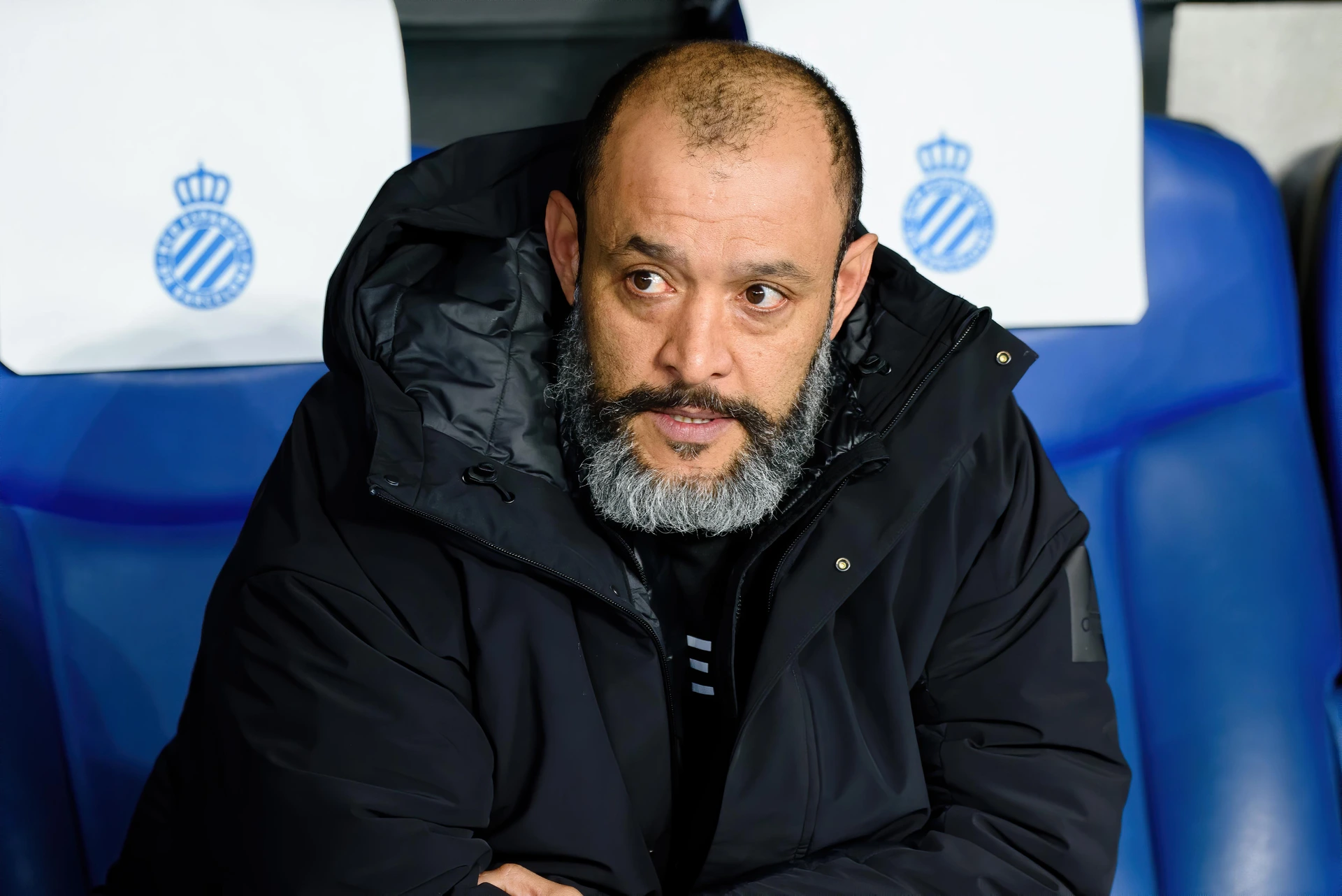 Fulham-Wolverhampton, le probabili formazioni