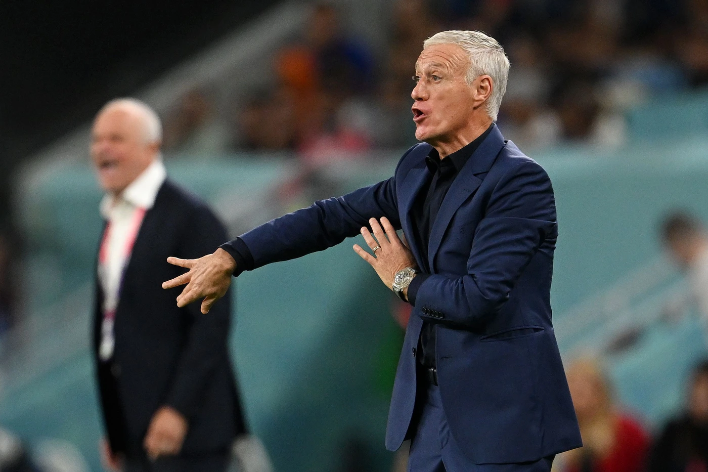 Deschamps 2.jpg