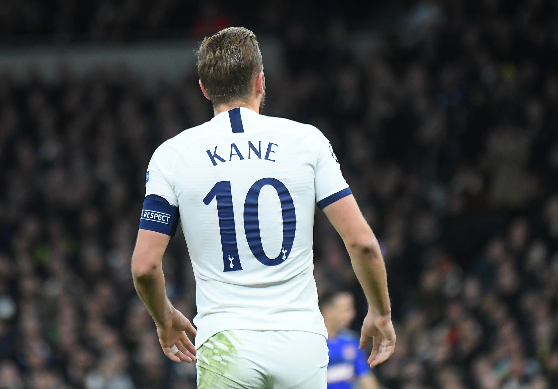 Brentford-Tottenham: le probabili formazioni