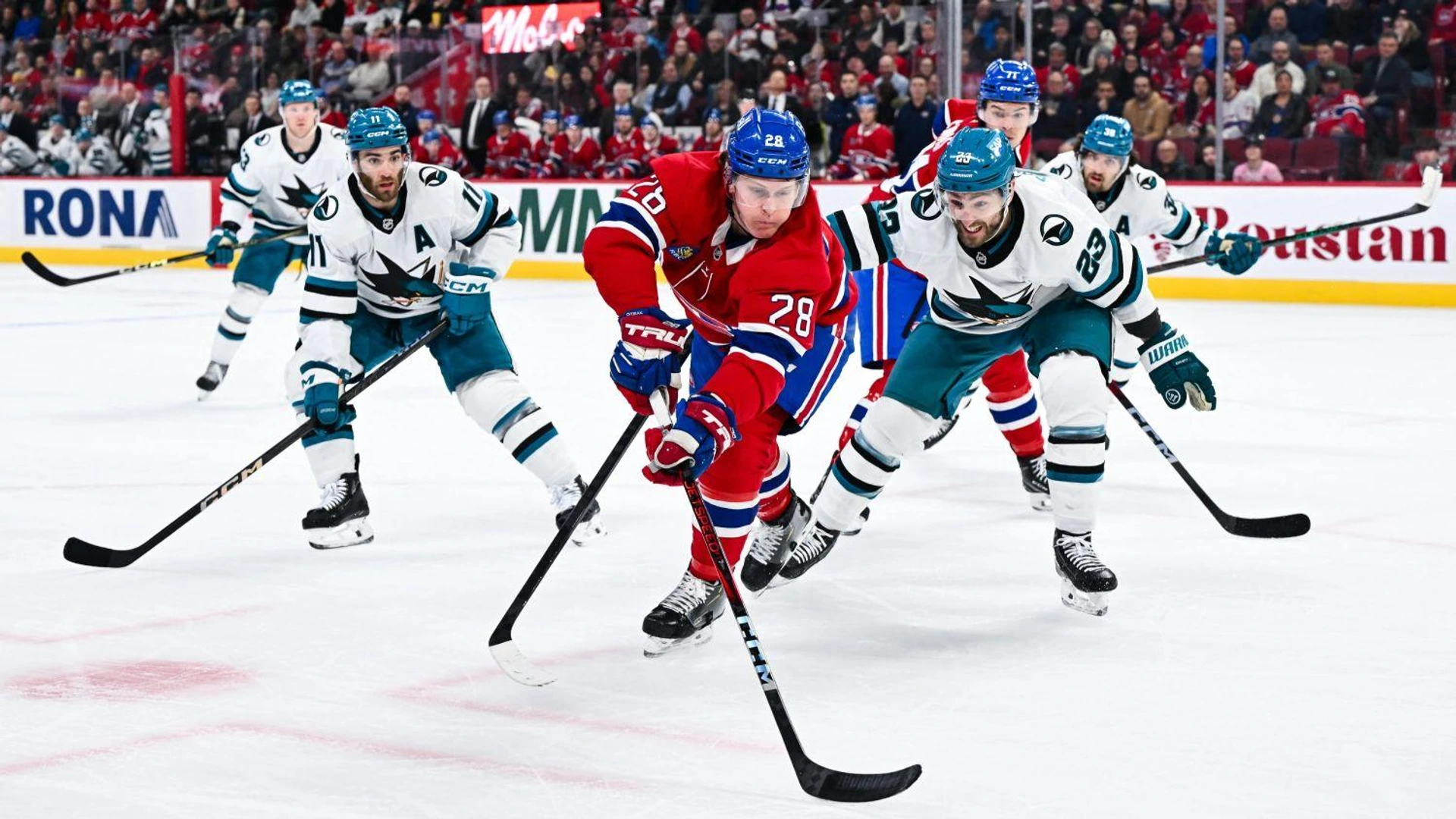 Сан Хосе Монреал НХЛ NHL уинбет