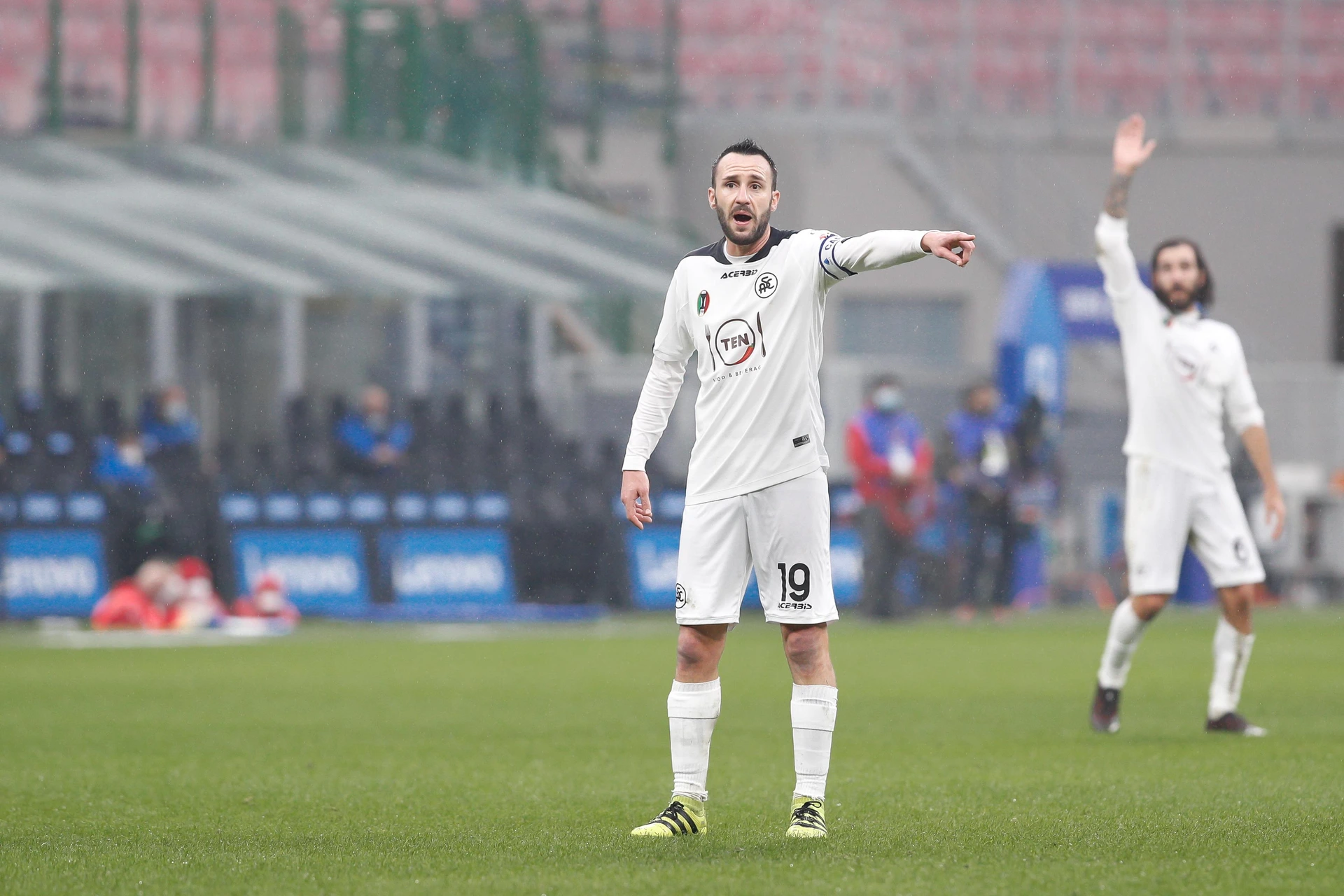 Spezia-Verona, le probabili formazioni